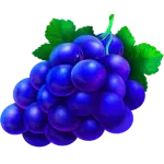 Trauben-Symbol (blaue Weintrauben)
